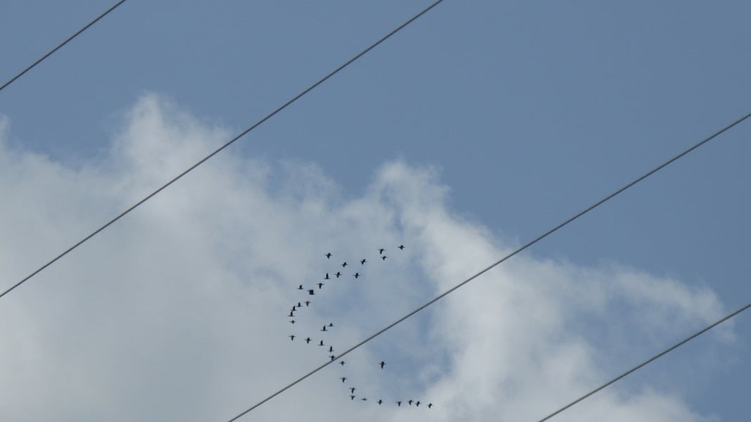 Погода в Израиле на неделю: наступит ли зима