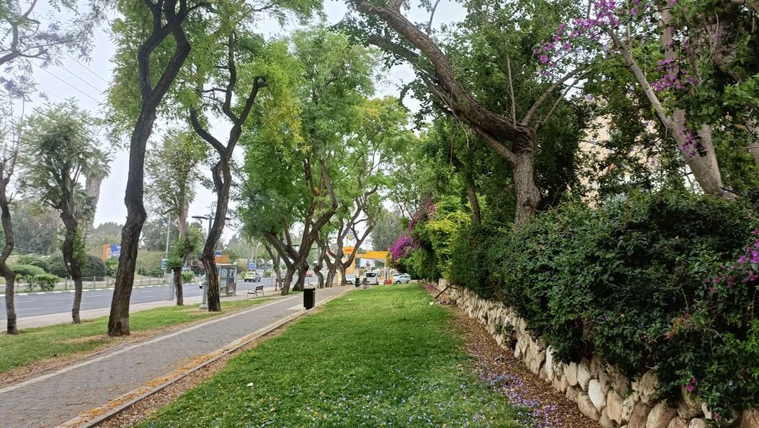 Погода в Израиле на четверг