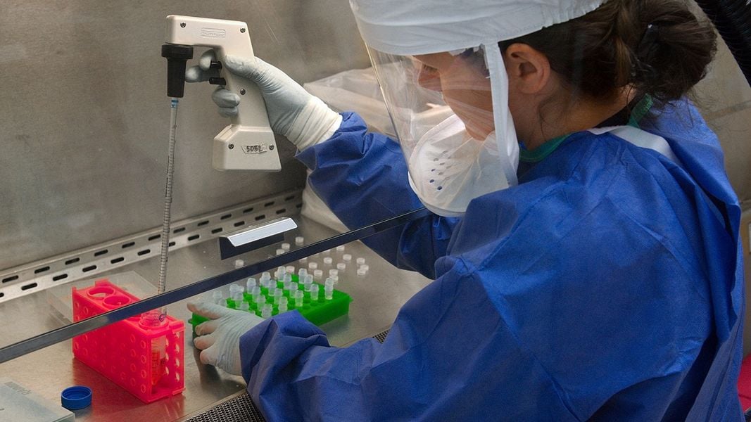 Израильтянка вошла в топ-10 ученых мира за 2025 год