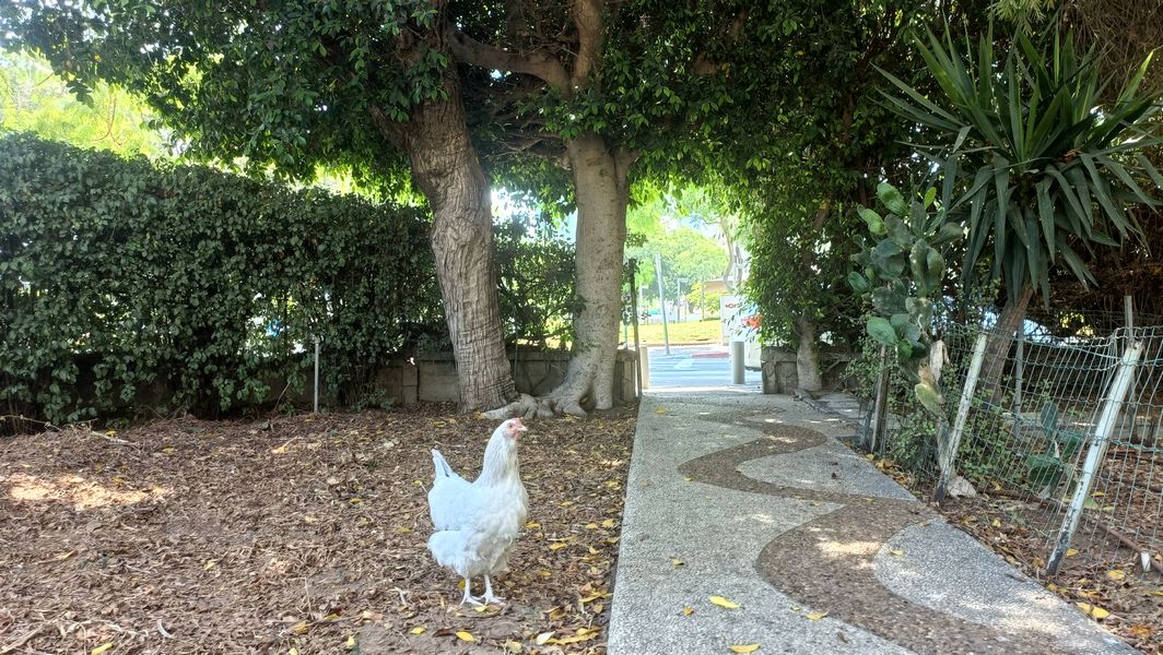 Погода в Израиле на среду