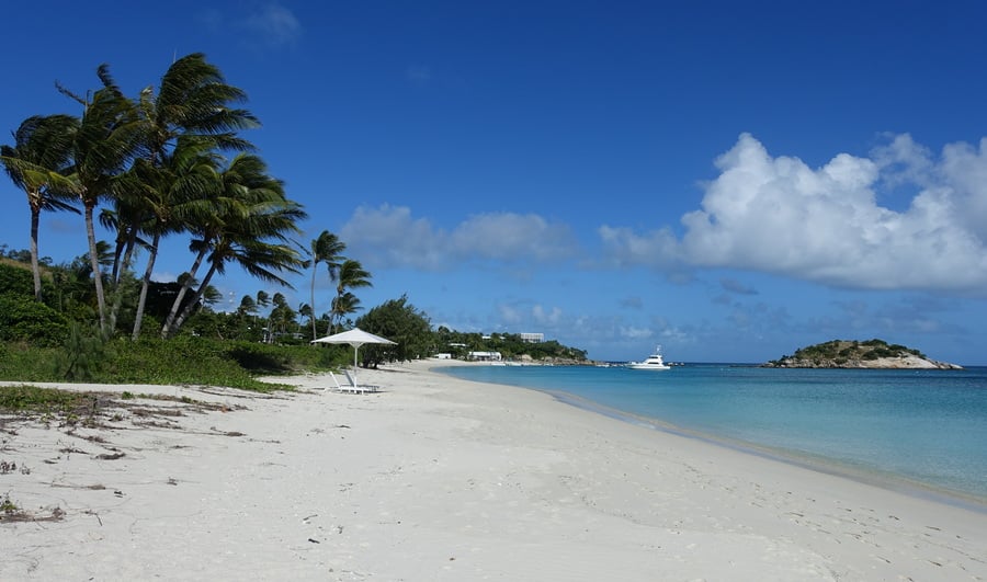 Пассажирку элитного круизного лайнера забыли на безлюдном острове, она умерла