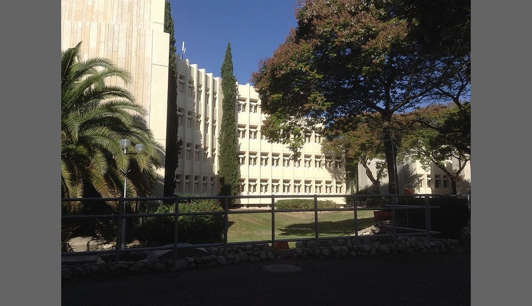 Прорывной шаг науки: израильские ученые раскрыли "формулу долголетия"