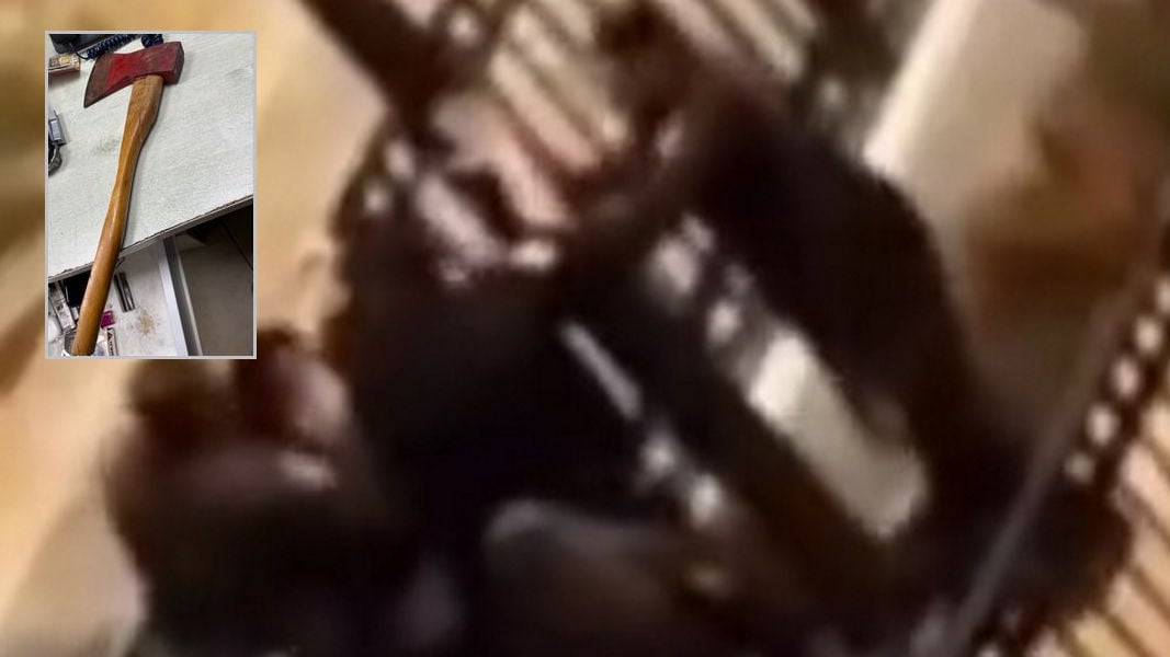 Что делал эфиоп с топором в ашдодском парке?