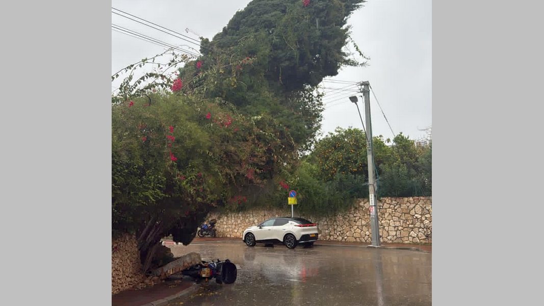 Оранжевая буря небо кроет и обрывает линии электропередачи